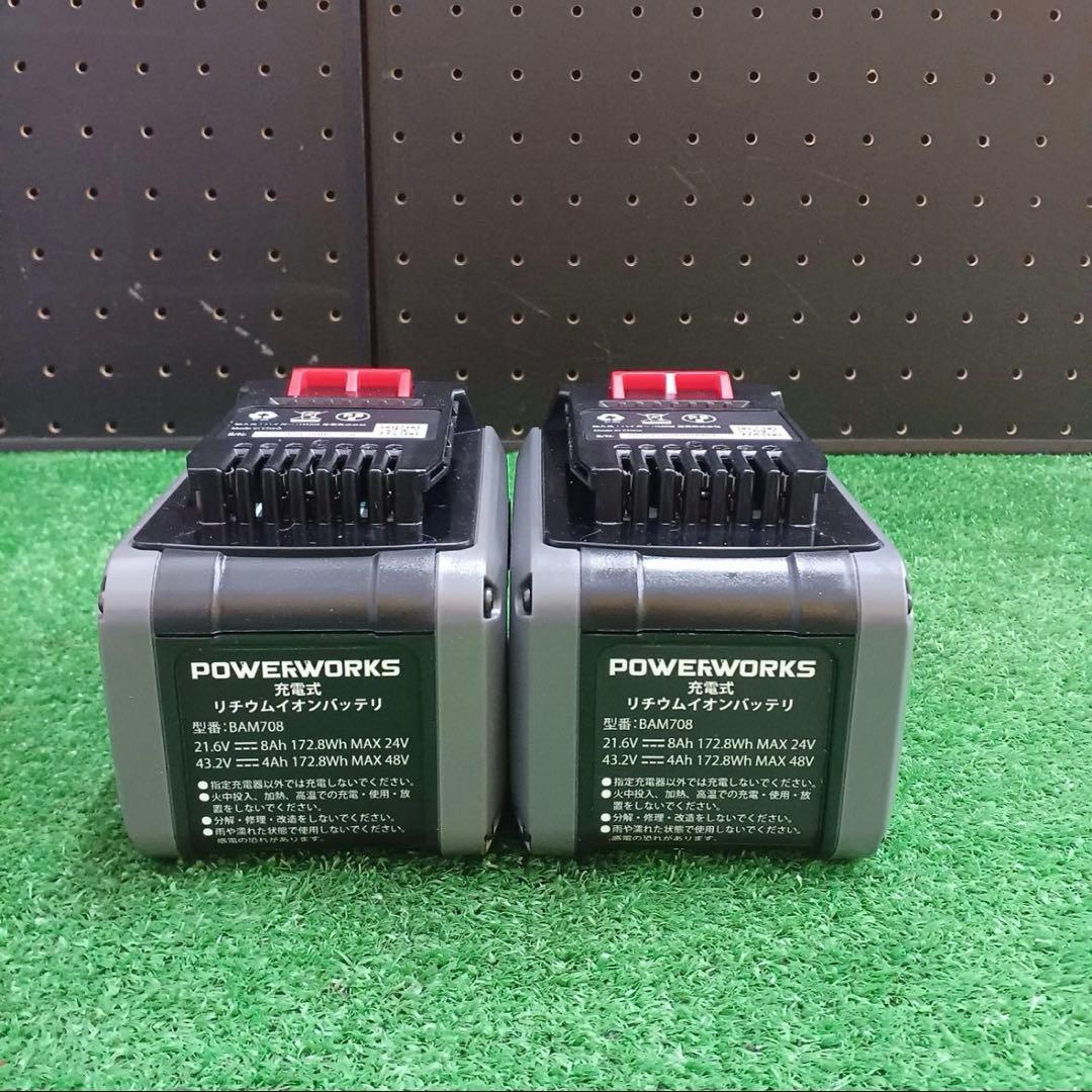 ハイガー除雪機　充電　48V POWERWORKS SNE402 バッテリー2個