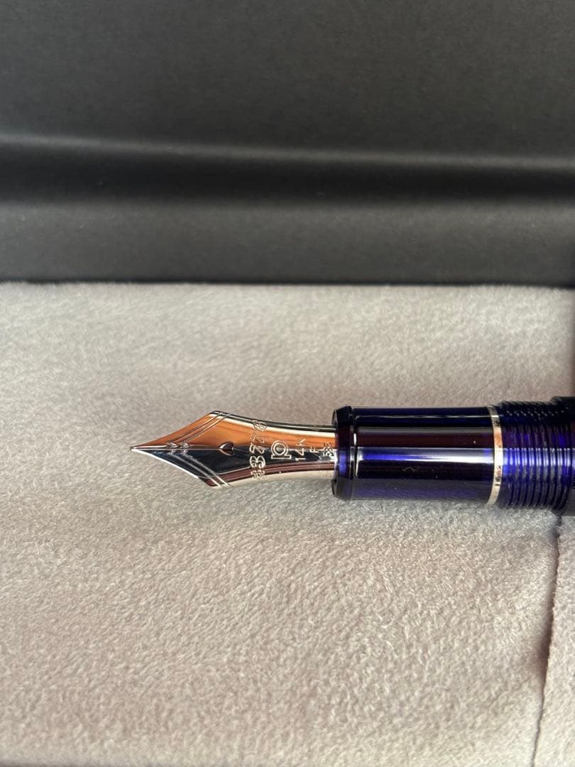 PLATINUM シャルトルブルー 万年筆 専用ケース付き