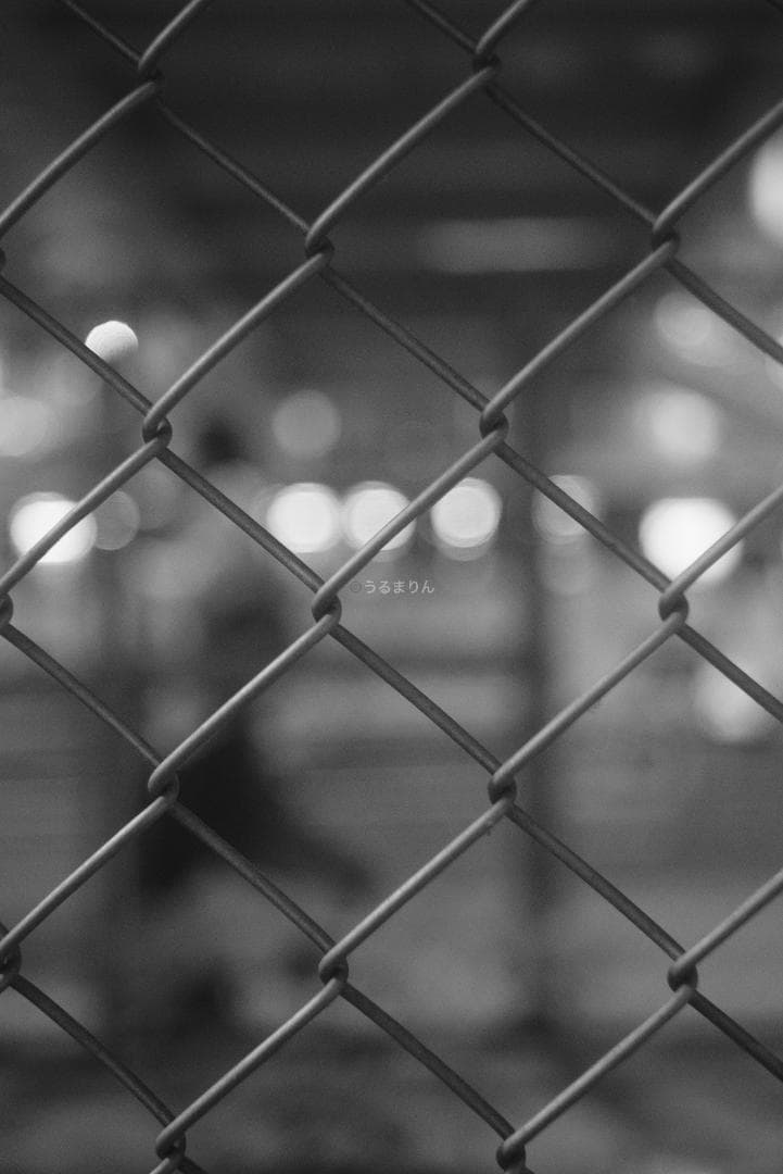 希少！全周ニッケル Elmar 50mm F3.5 オールドレンズ シリアルなし