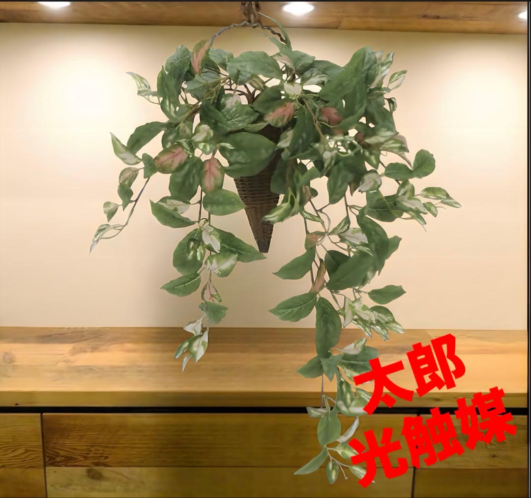 光触媒　人工観葉植物　ウォールグリーン　フェイクグリーン　壁掛け　ツートンホヤ