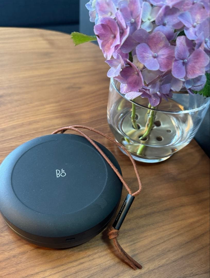 BANG & OLUFSEN Beosound A1 2nd スピーカー