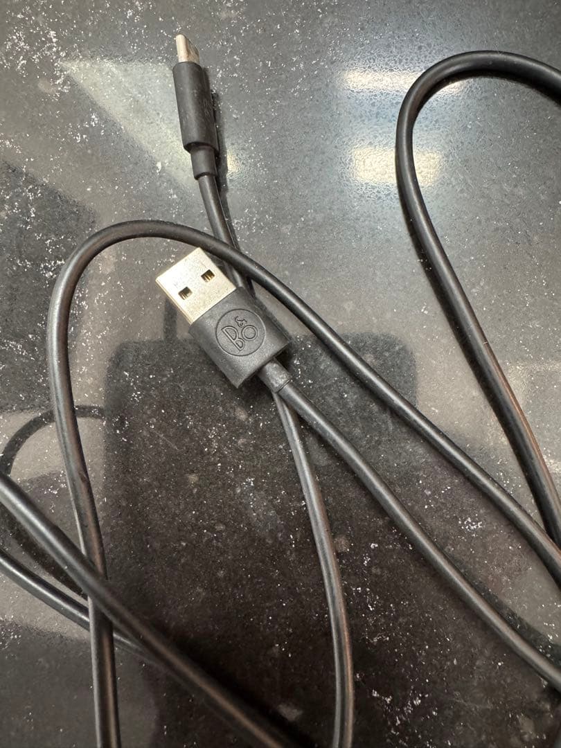 BANG & OLUFSEN Beosound A1 2nd スピーカー