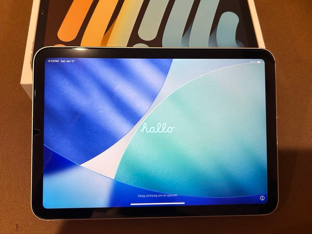 iPad mini6 cellularモデル 256GB スターライト