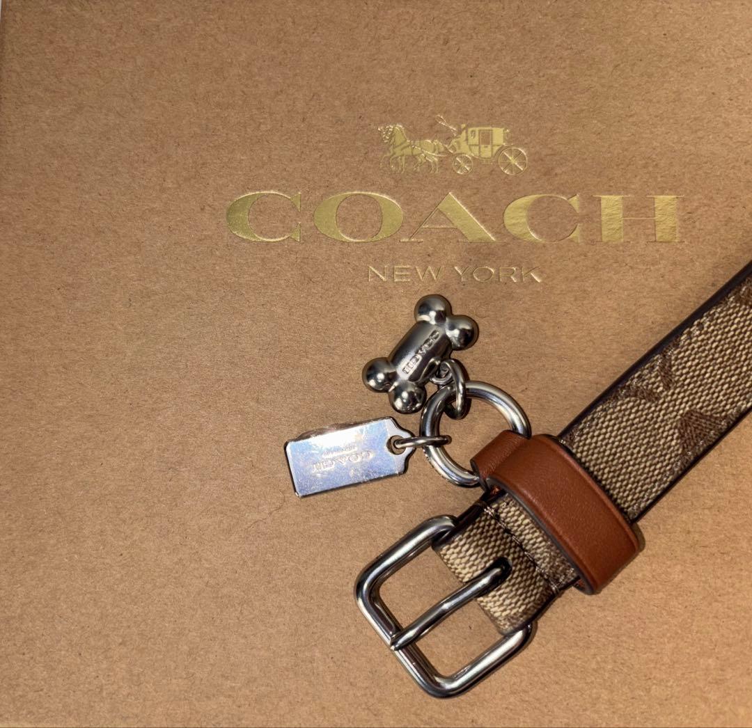 ⭐️新品⭐️コーチ　首輪　シグネチャー骨型チャーム付き【中型犬用】