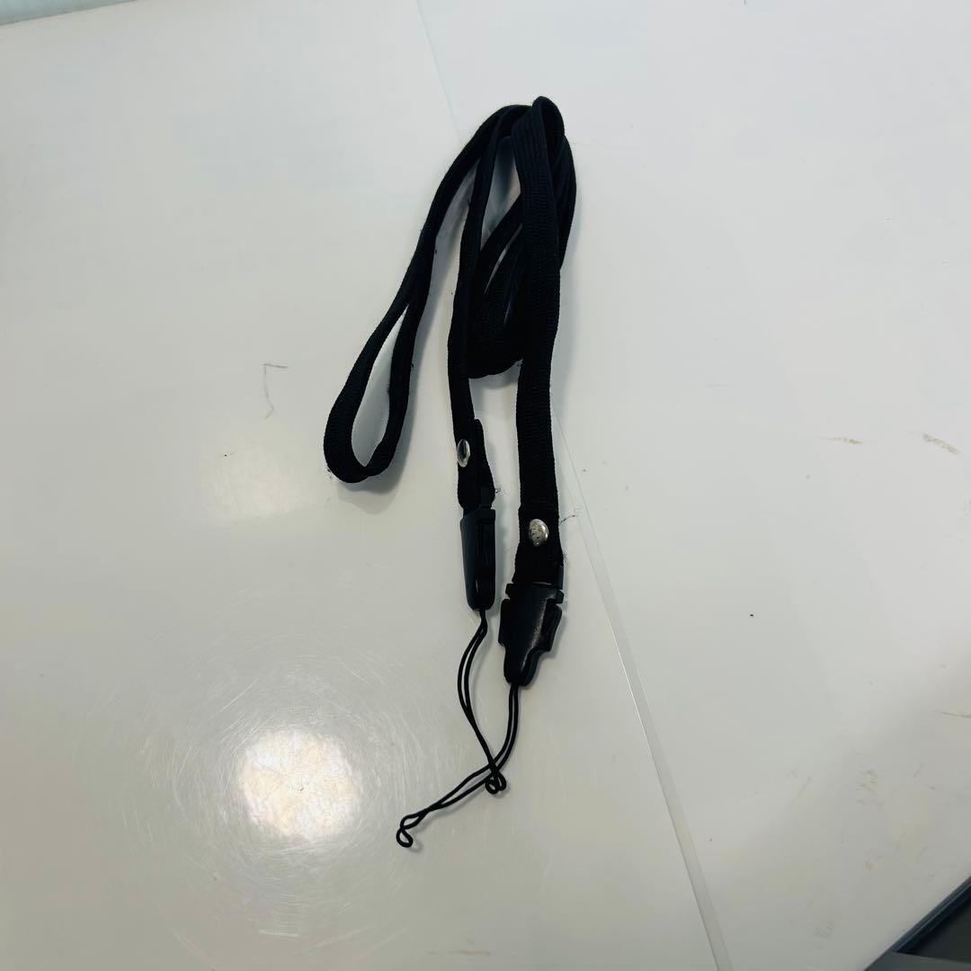 動作確認済みPENTAX Optio VS20 コンデジ ペンタックス