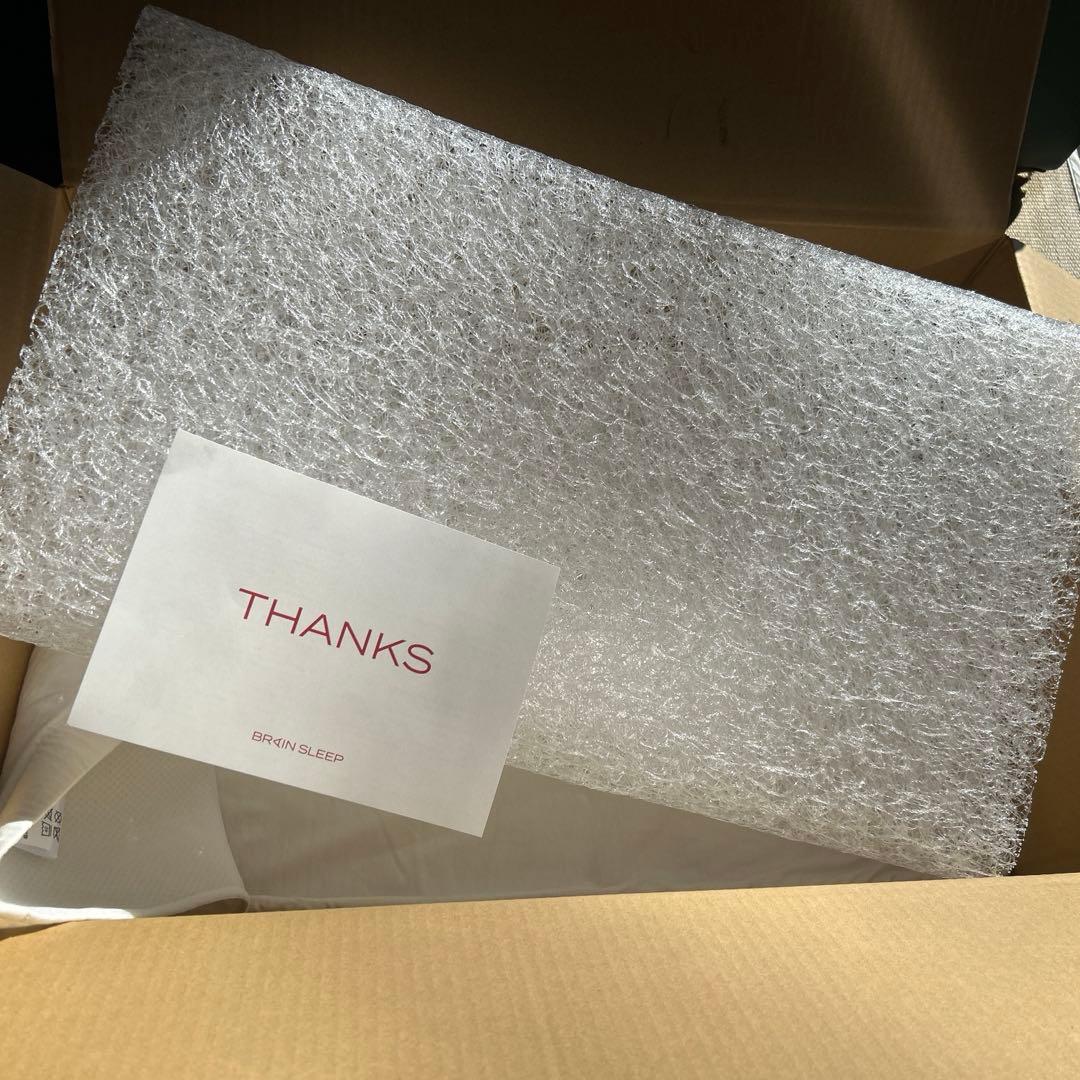 【美品】ブレインスリープピロー　ロー　low