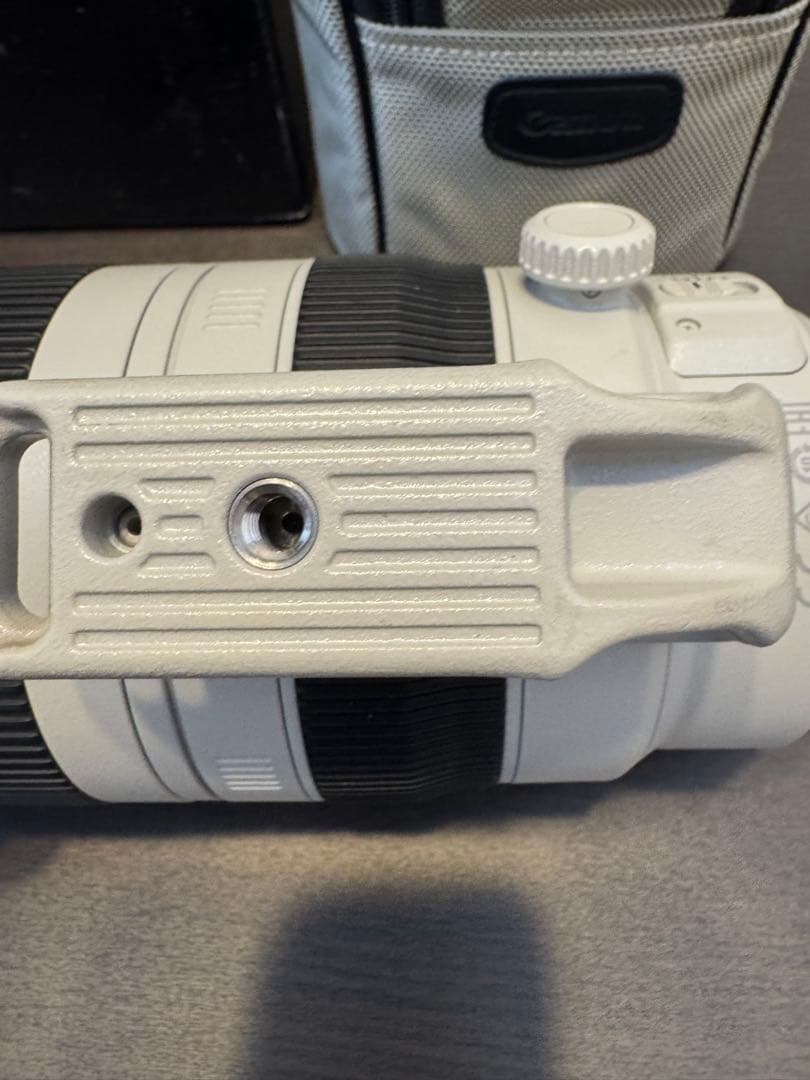 Canon EF 100-400mm F4.5-5.6L IS II キャノン