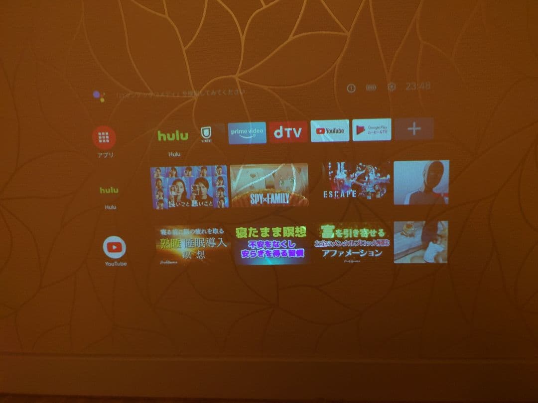 Nebula Capsule II プロジェクター キャリーケース