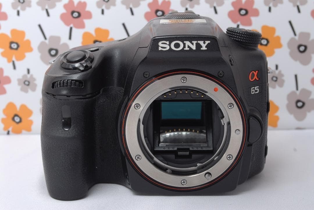 ❤SONY α65❤トリプルレンズ❤超望遠❤超高画質❤1秒10コマの高速連射❤