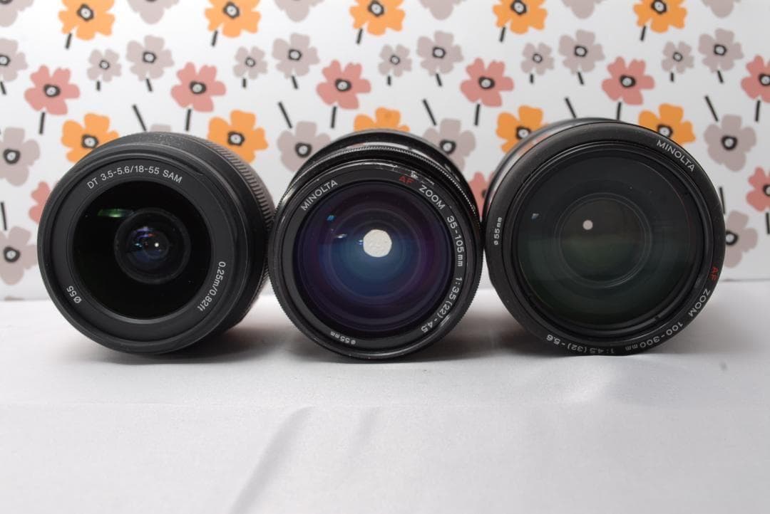 ❤SONY α65❤トリプルレンズ❤超望遠❤超高画質❤1秒10コマの高速連射❤