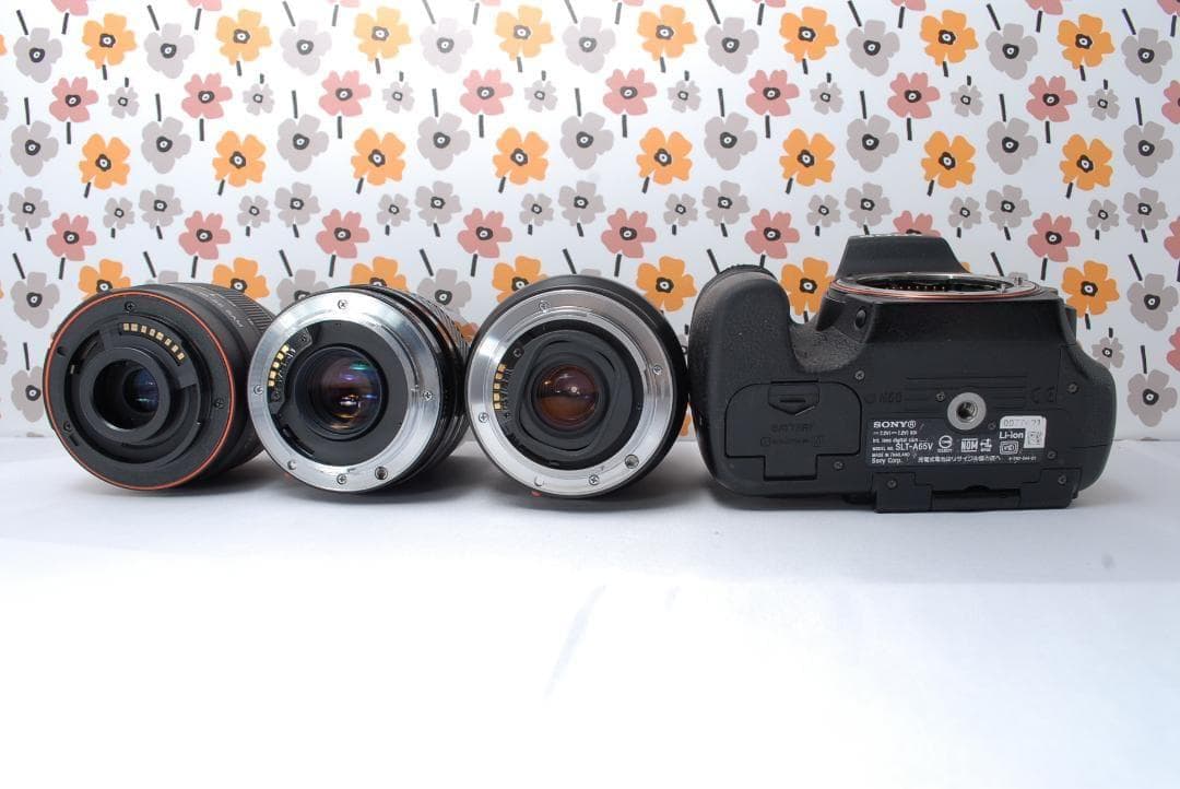 ❤SONY α65❤トリプルレンズ❤超望遠❤超高画質❤1秒10コマの高速連射❤