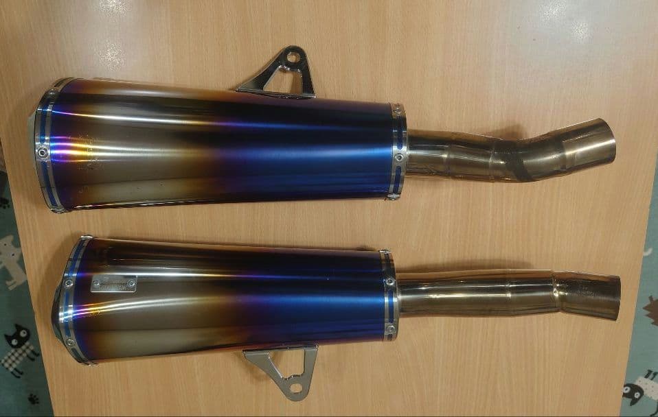 こばやんさん専用　r’s gear アールズギア ninja1000 ワイバン