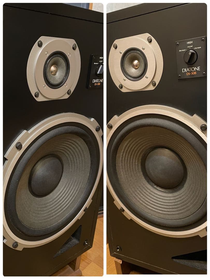 DIATONE DS-30B 30センチスピーカー　YouTube視聴可能