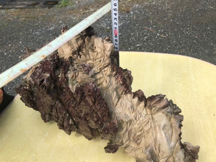 鎧石 赤石 鑑賞石