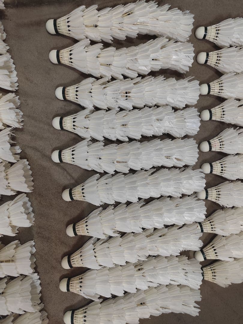 バドミントン使用済みYONEXシャトル300球