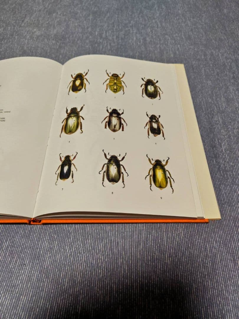 昆虫標本　プラチナコガネ文献