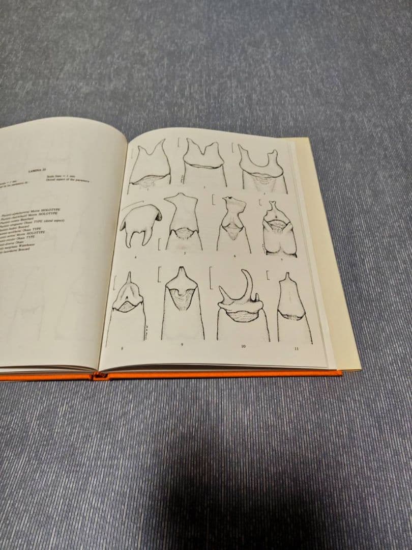 昆虫標本　プラチナコガネ文献