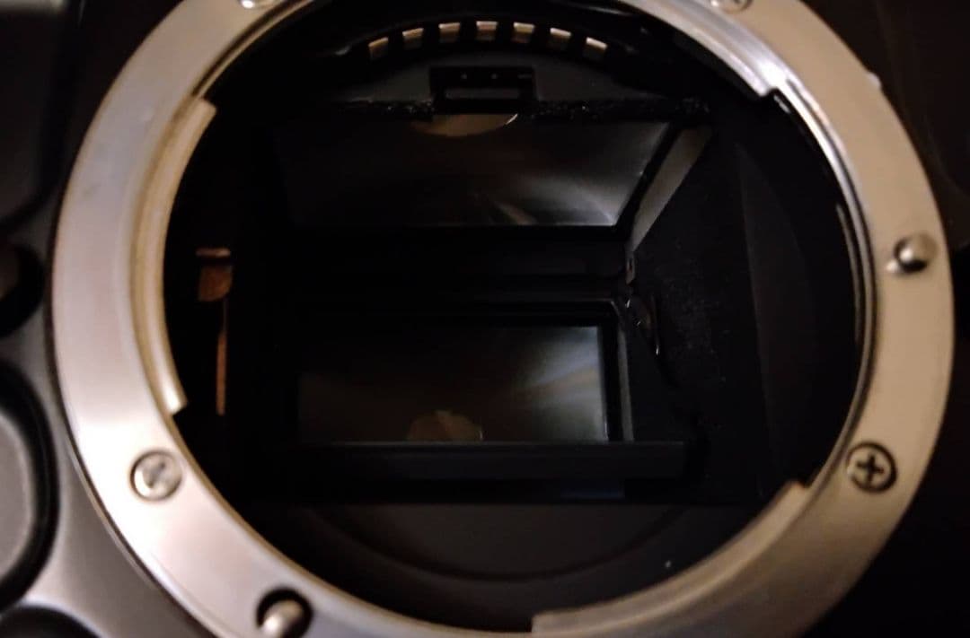 ★Nikon ニコン F90X フィルムカメラ　動作確認済み！ 一眼レフカメラ