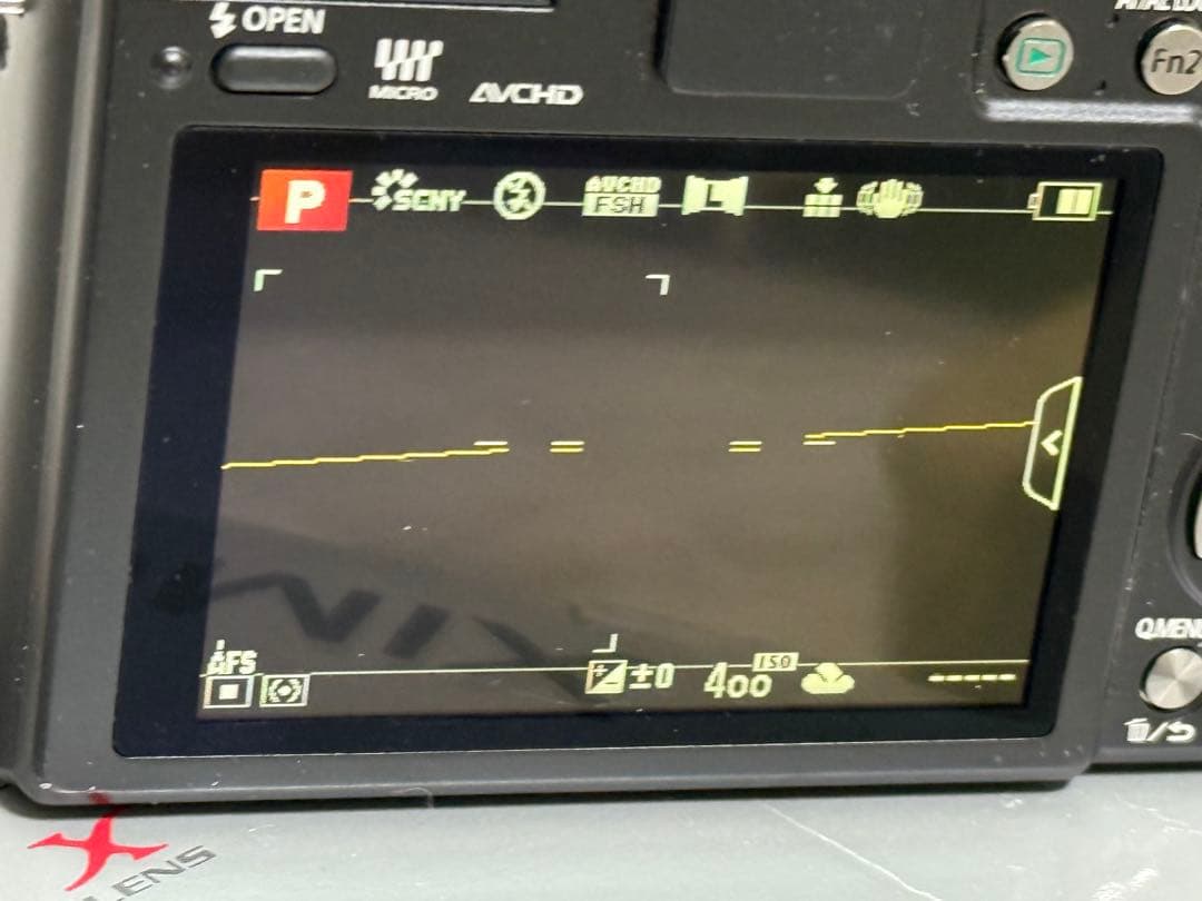 LUMIX GX1 ミラーレス一眼カメラ