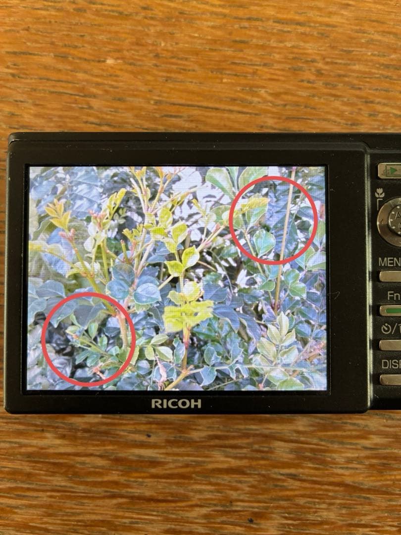 【訳アリ&動作確認済み】RICOH R10 コンパクトデジタルカメラ