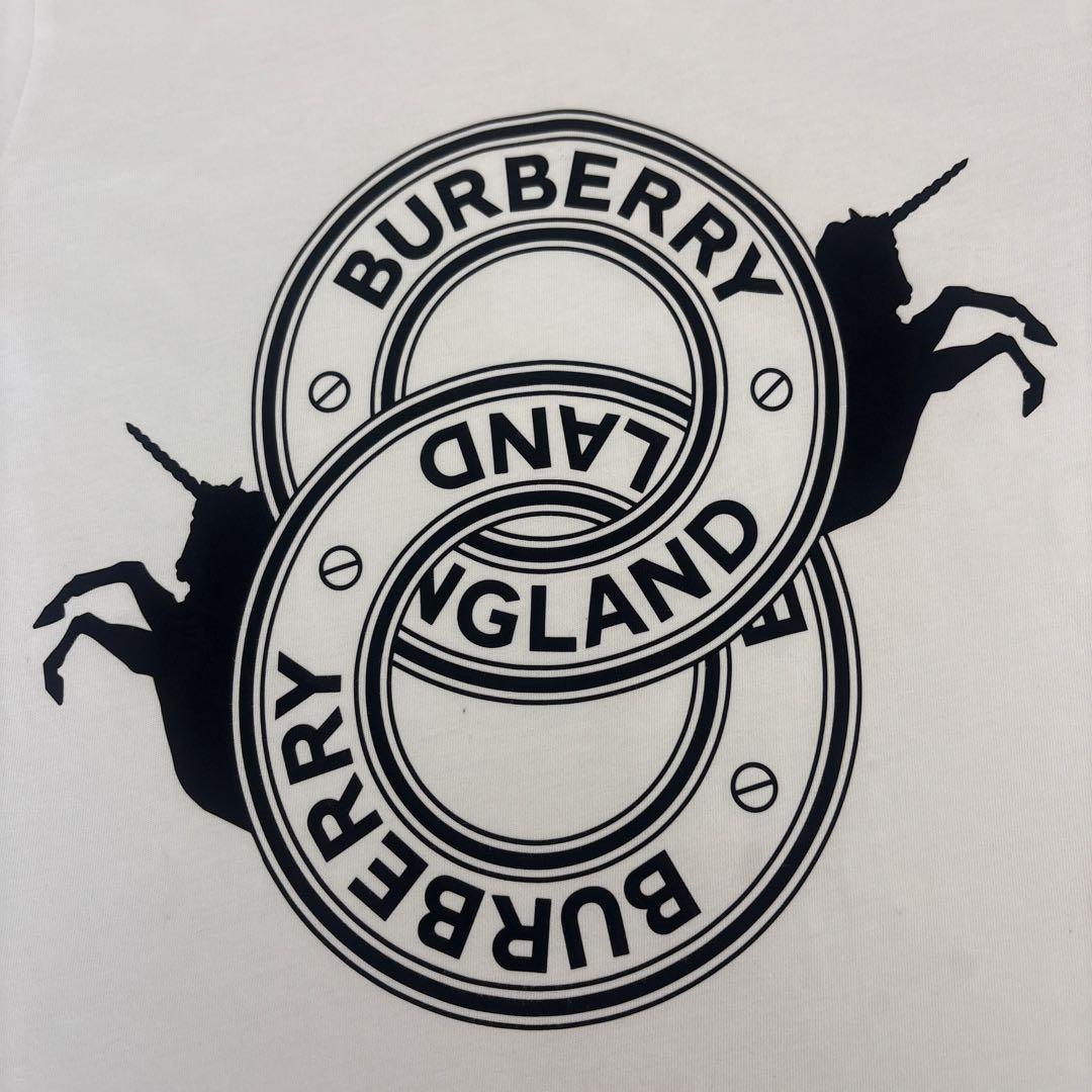 BURBERRY Tシャツ ③