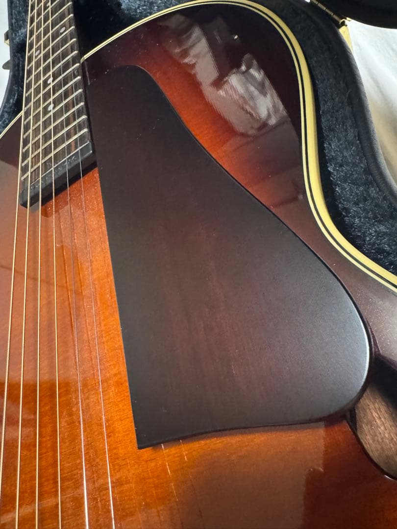 K.Yairi PY-1 SBセミアコ[美品](ハードケース付き)