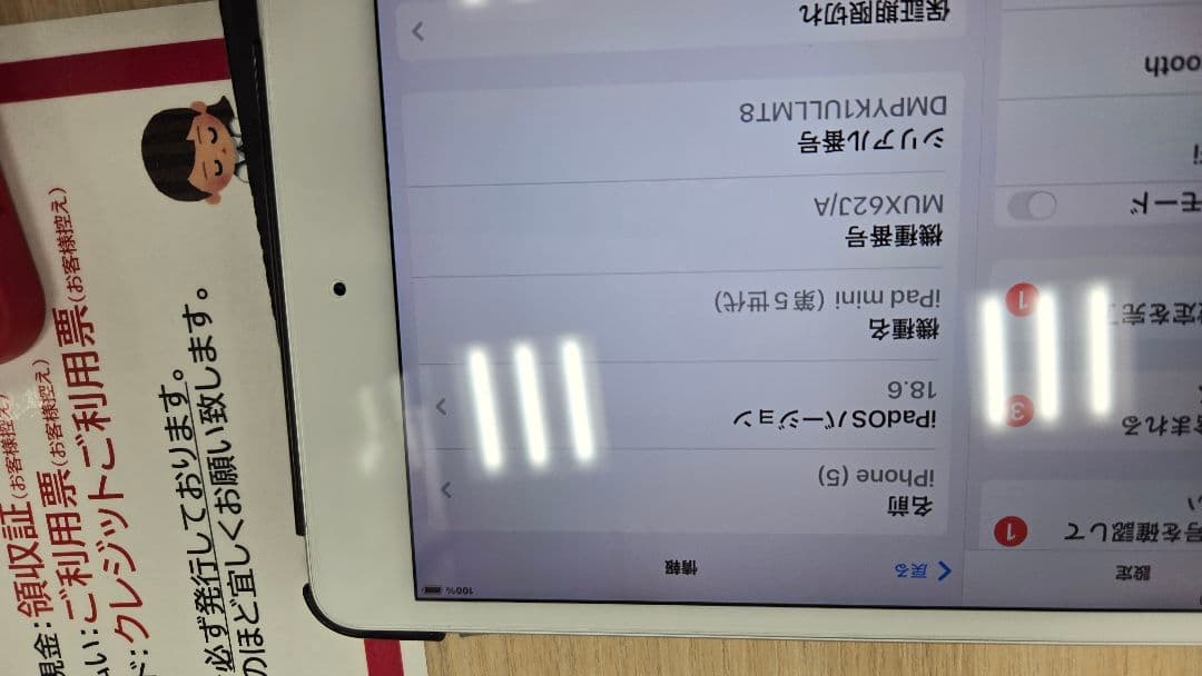 iPad mini 5,ケースつき