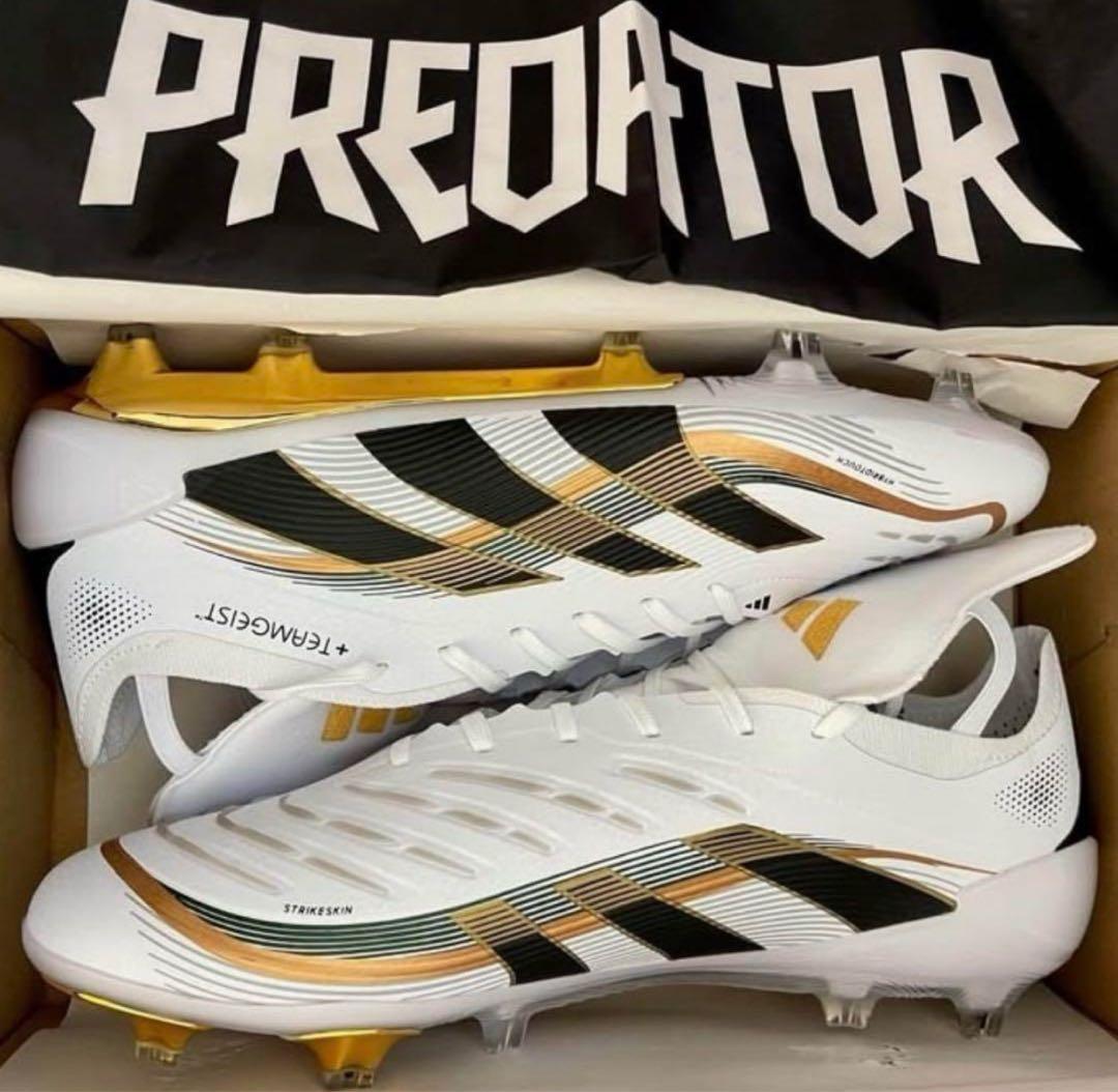 【27cm】PREDATOR ELITE FT FG+ チームガイスト