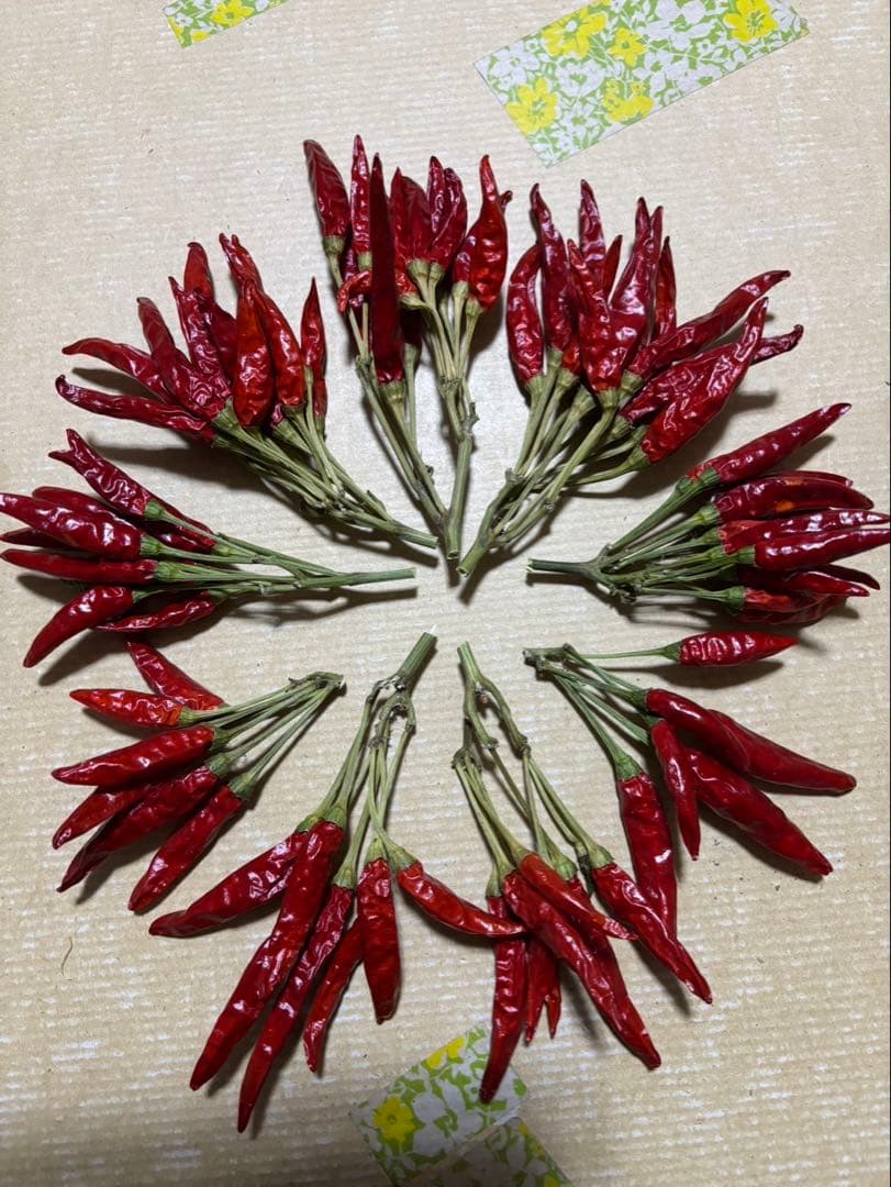 ドライフラワー トウガラシ タカノツメ