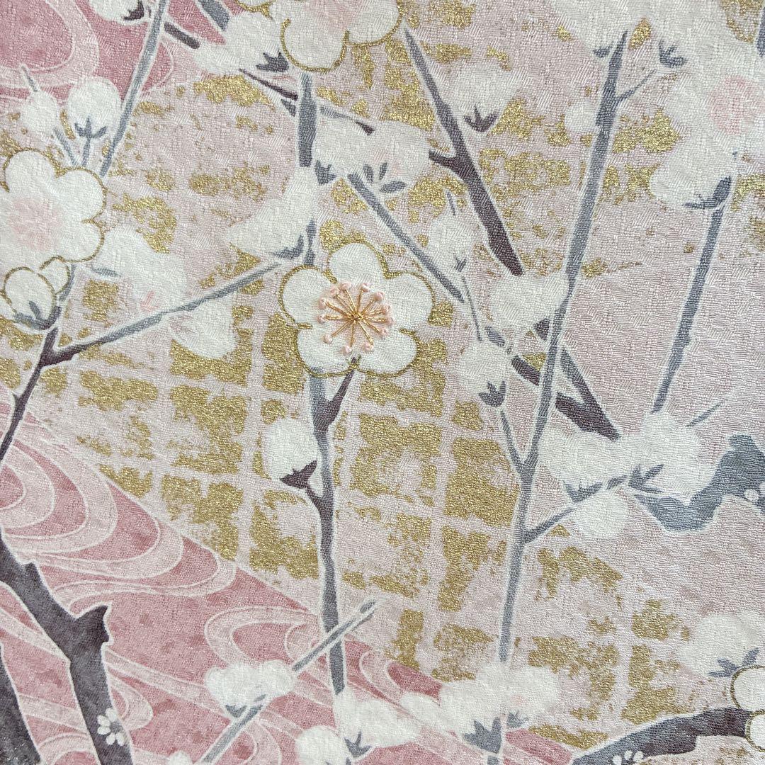 色留袖　フルセット　着物　正絹　五つ紋　大人の薄梅　気品やわらか　梅枝　J9