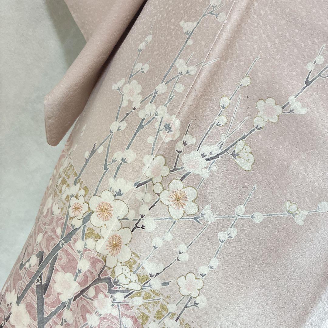 色留袖　フルセット　着物　正絹　五つ紋　大人の薄梅　気品やわらか　梅枝　J9