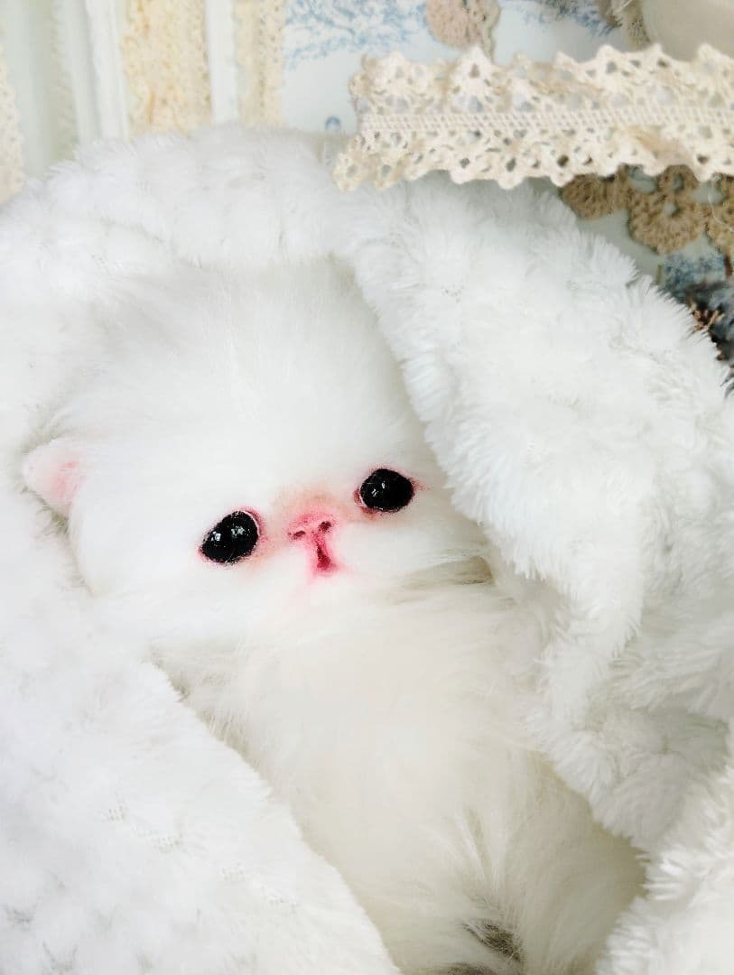 子猫♡寝起きのシロップちゃん♡アートドール♡ぬいぐるみ♡