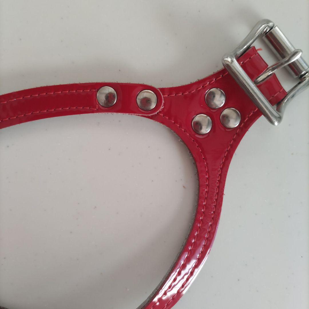 バディ－ベルト ハ－ネスBBベルト ６号エナメルレッド！ スワロフスキー付き