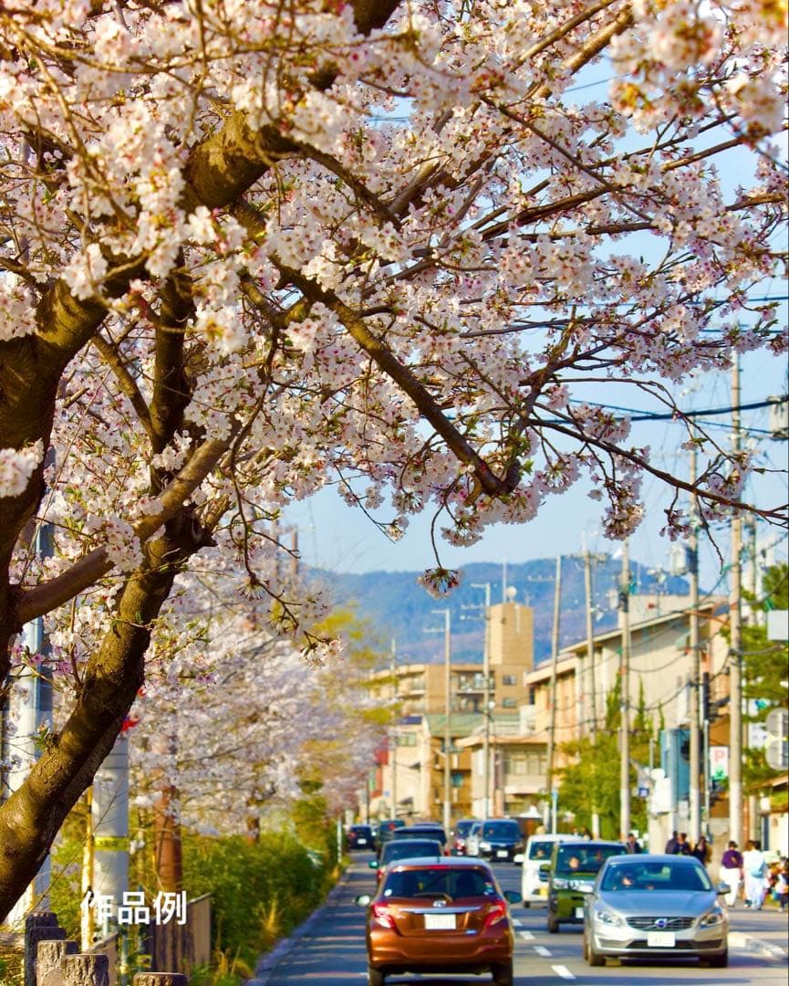 【美品】canon EF-S 55-250mm IS STM 望遠レンズ ⑤