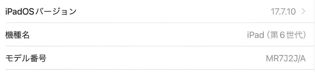 iPad (第6世代) 9.7インチ 128GB シルバー 本体