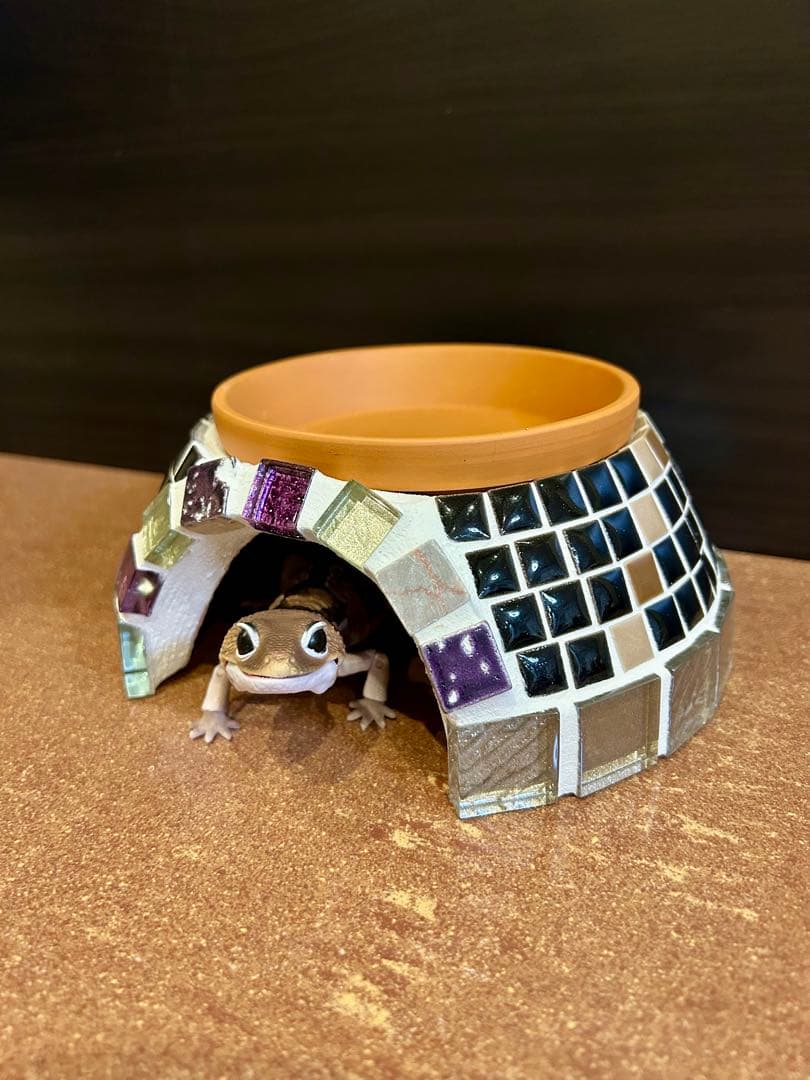 kanaria store✩プロフ必読 専用爬虫類ウェットシェルター