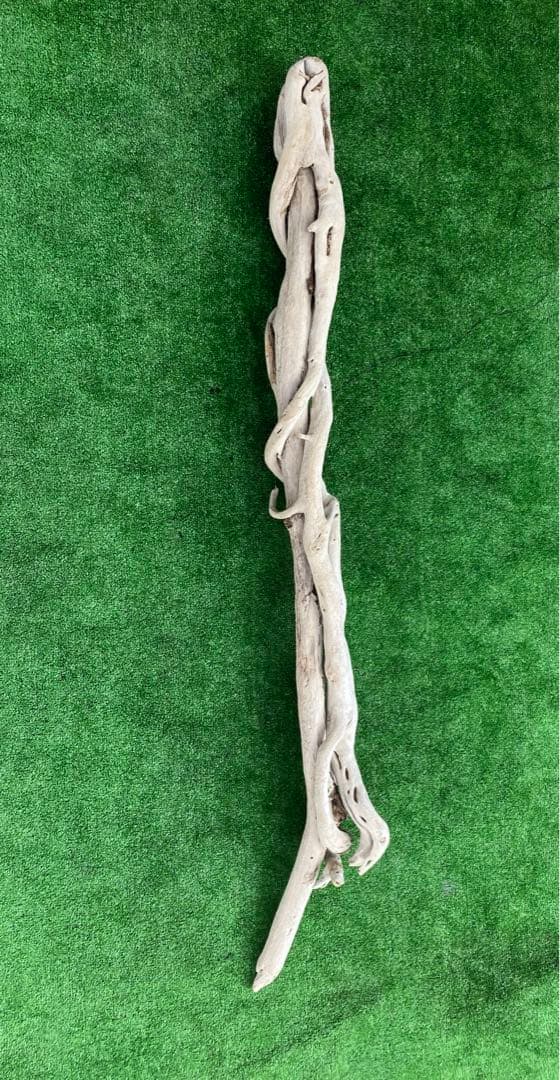 最高級　天然乾燥　流木　インテリア雑貨アクアリウム流木　1m越え　無薬　即日発送
