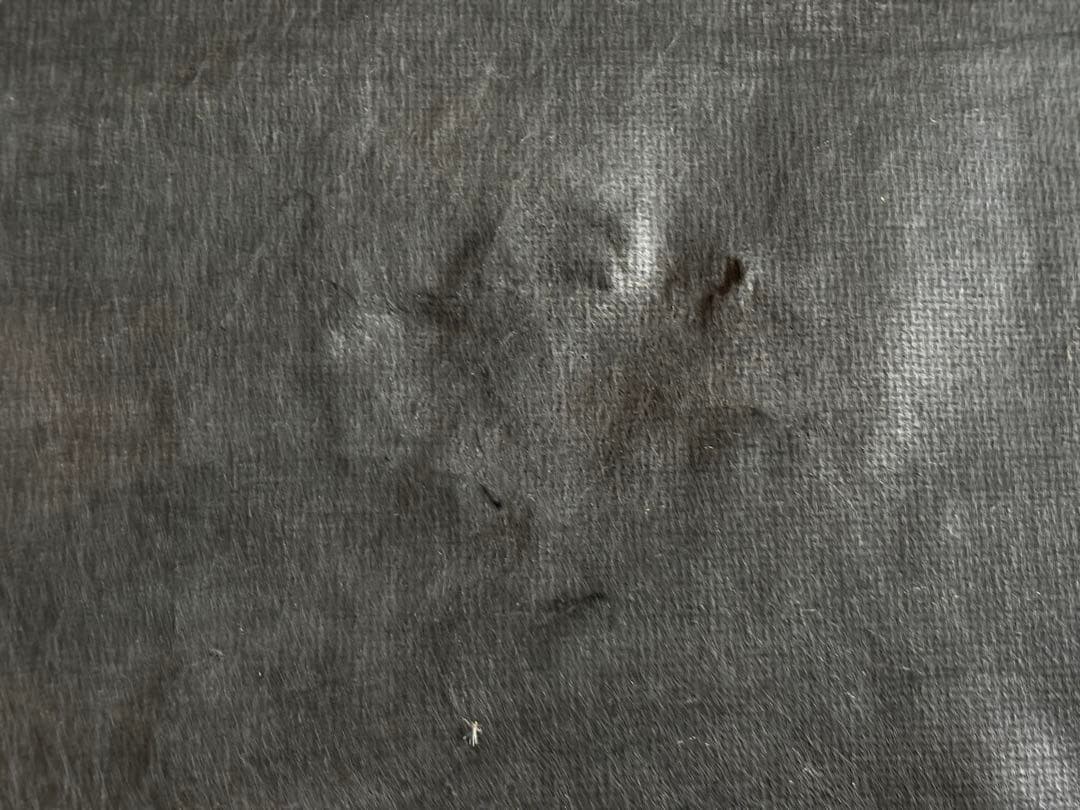 ①マルニ　maruni アームソファ　クラシック　金華山織　猫脚　ソファ　SZ