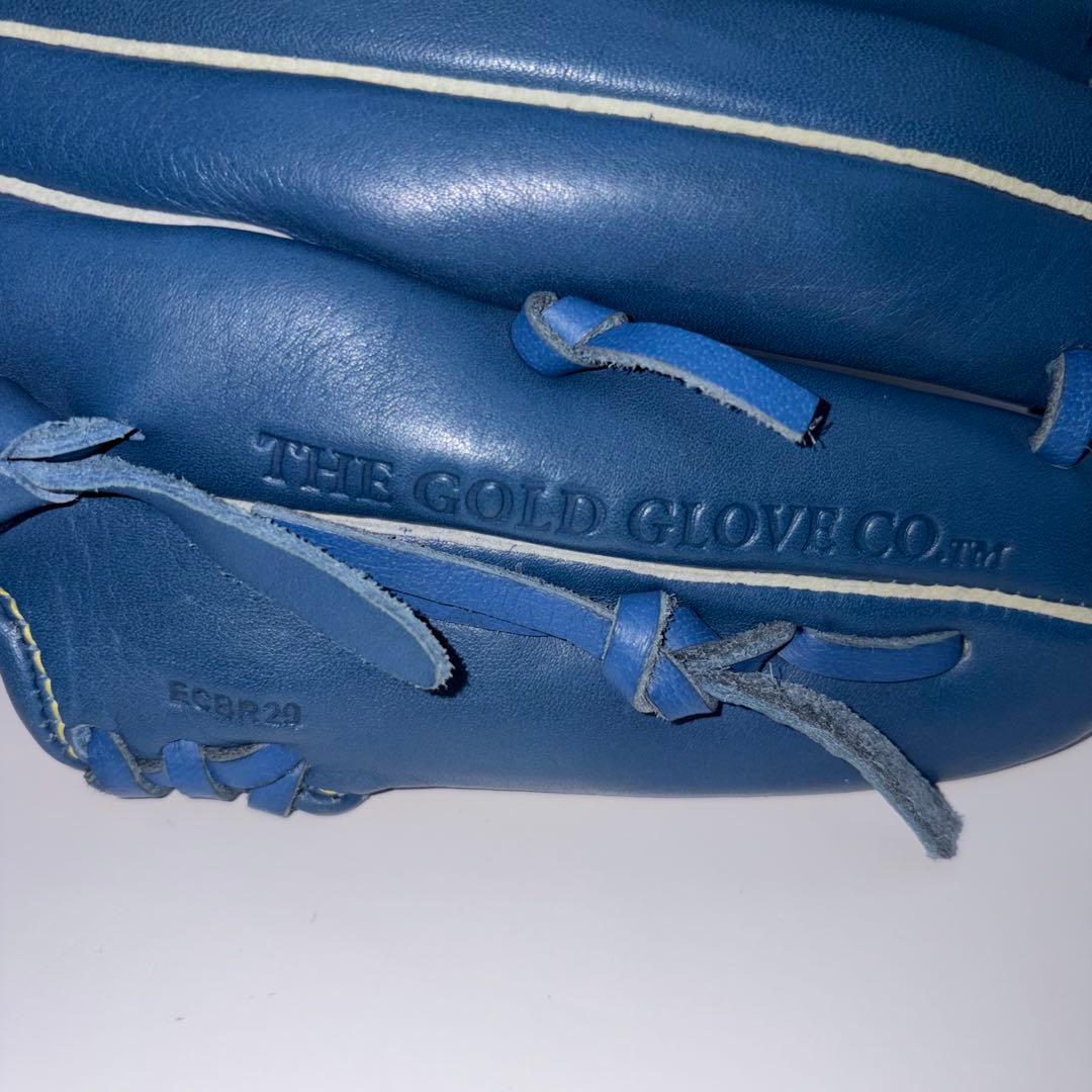 【左投げ】Rawlings DUAL PALM TECH ジュニア 野球グローブ