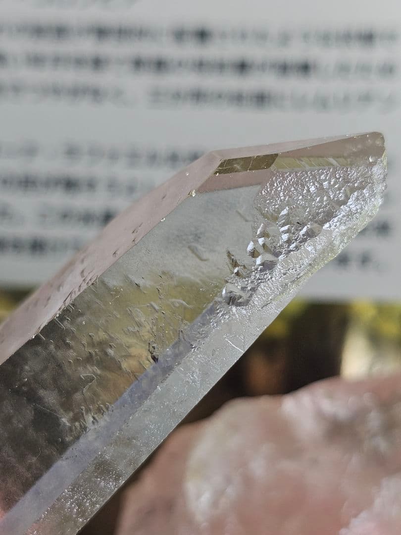 超希少‼️レコードキーパー入り‼️レムリアンシード