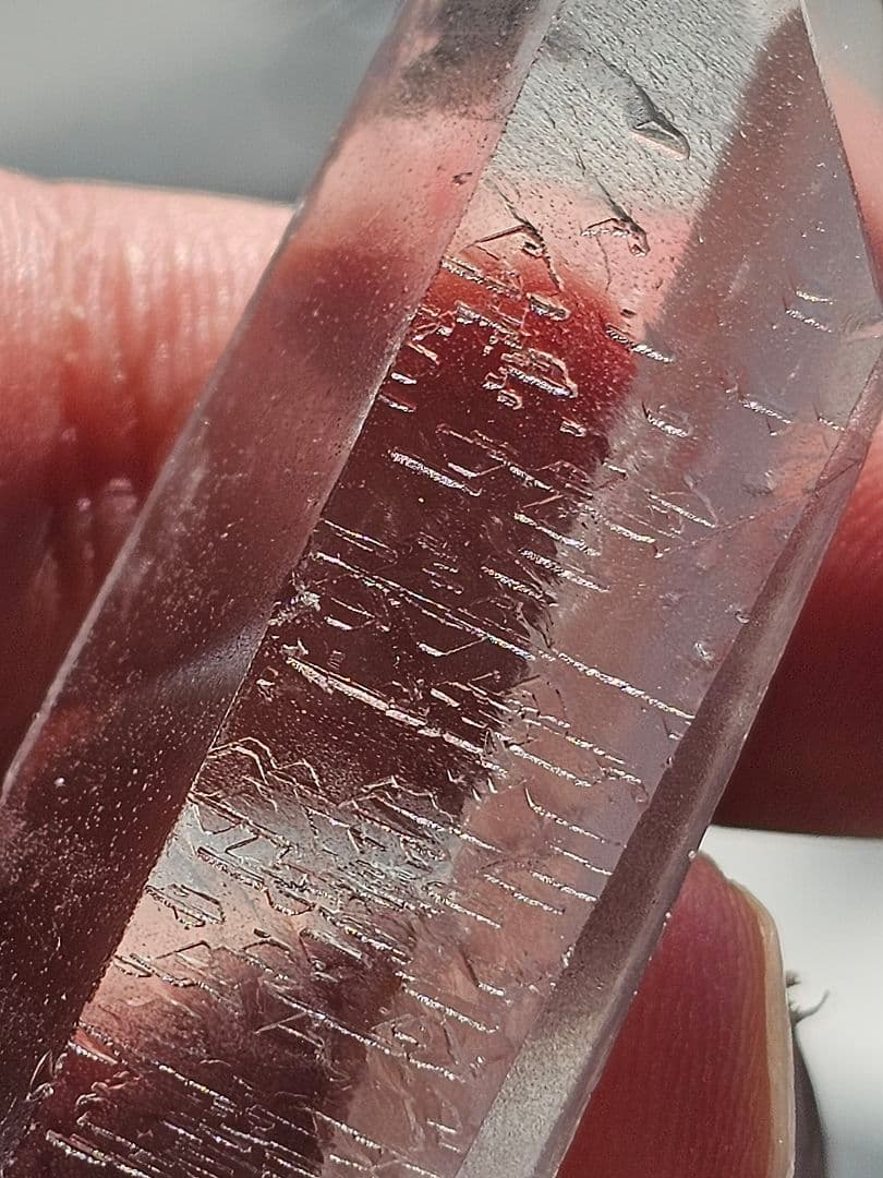 超希少‼️レコードキーパー入り‼️レムリアンシード