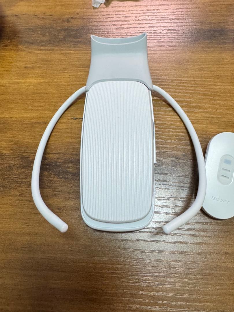 SONY REON POCKET5 社外ケース付き