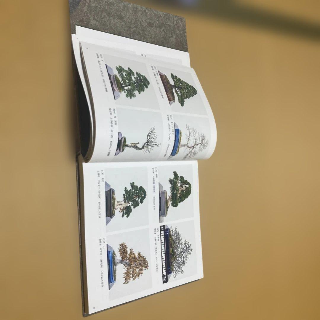 貴重盆栽登録樹集