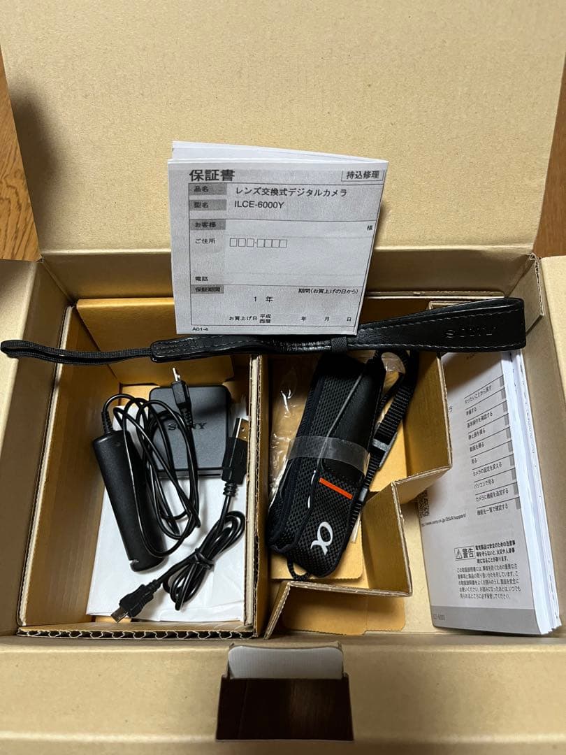SONY α6000 E Full BOX 99% - レンズなし