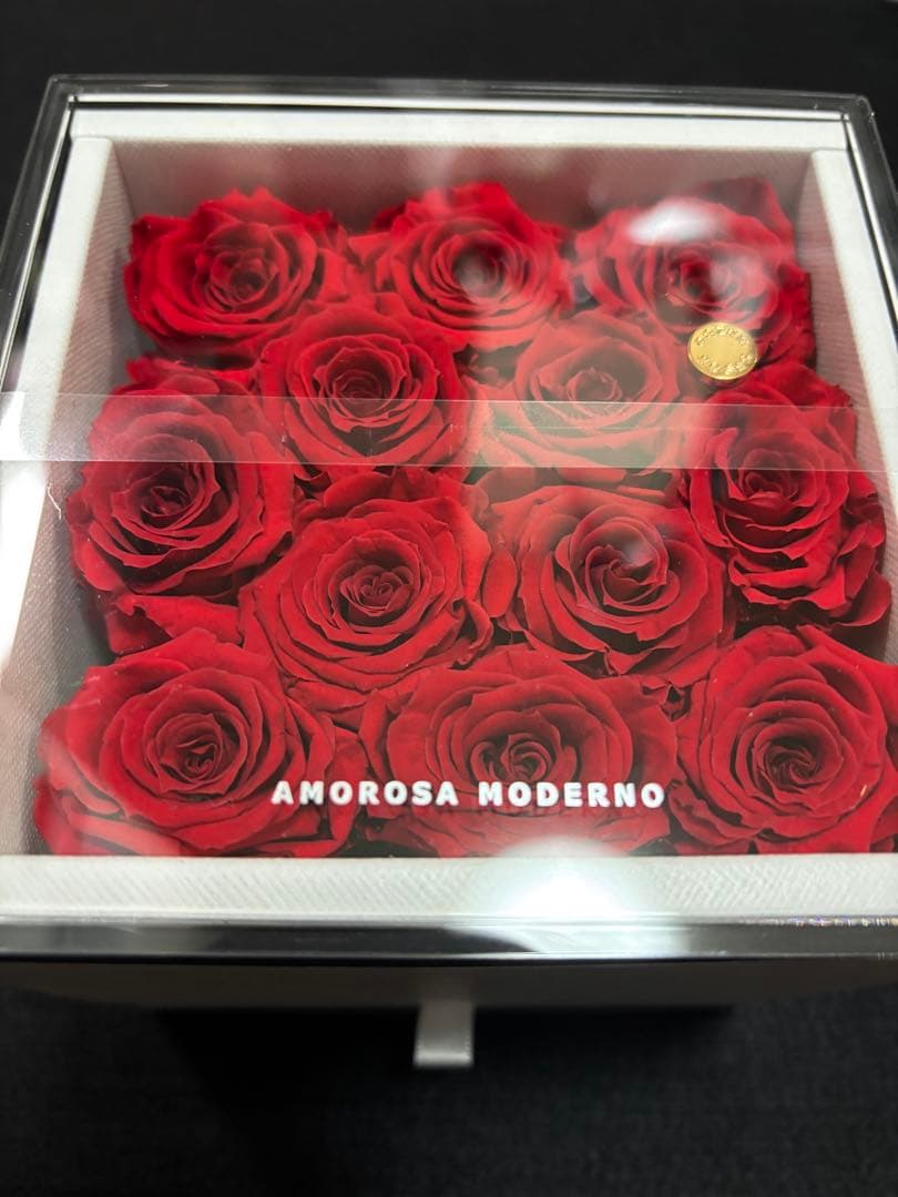 アモローサ　ダーズンローズドゥロアー　ラグジュアリー ブリザード 薔薇 レッド