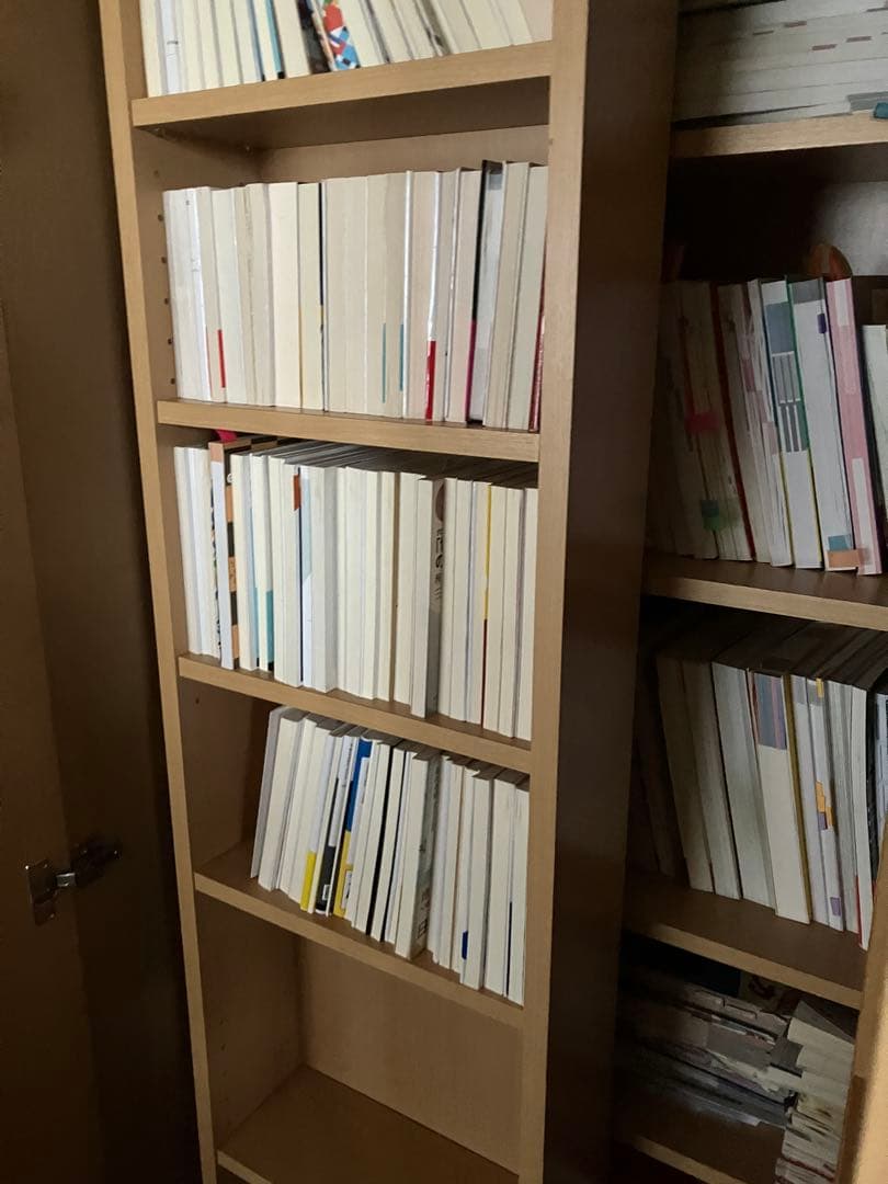 ナチュラル本棚 2扉 収納力抜群