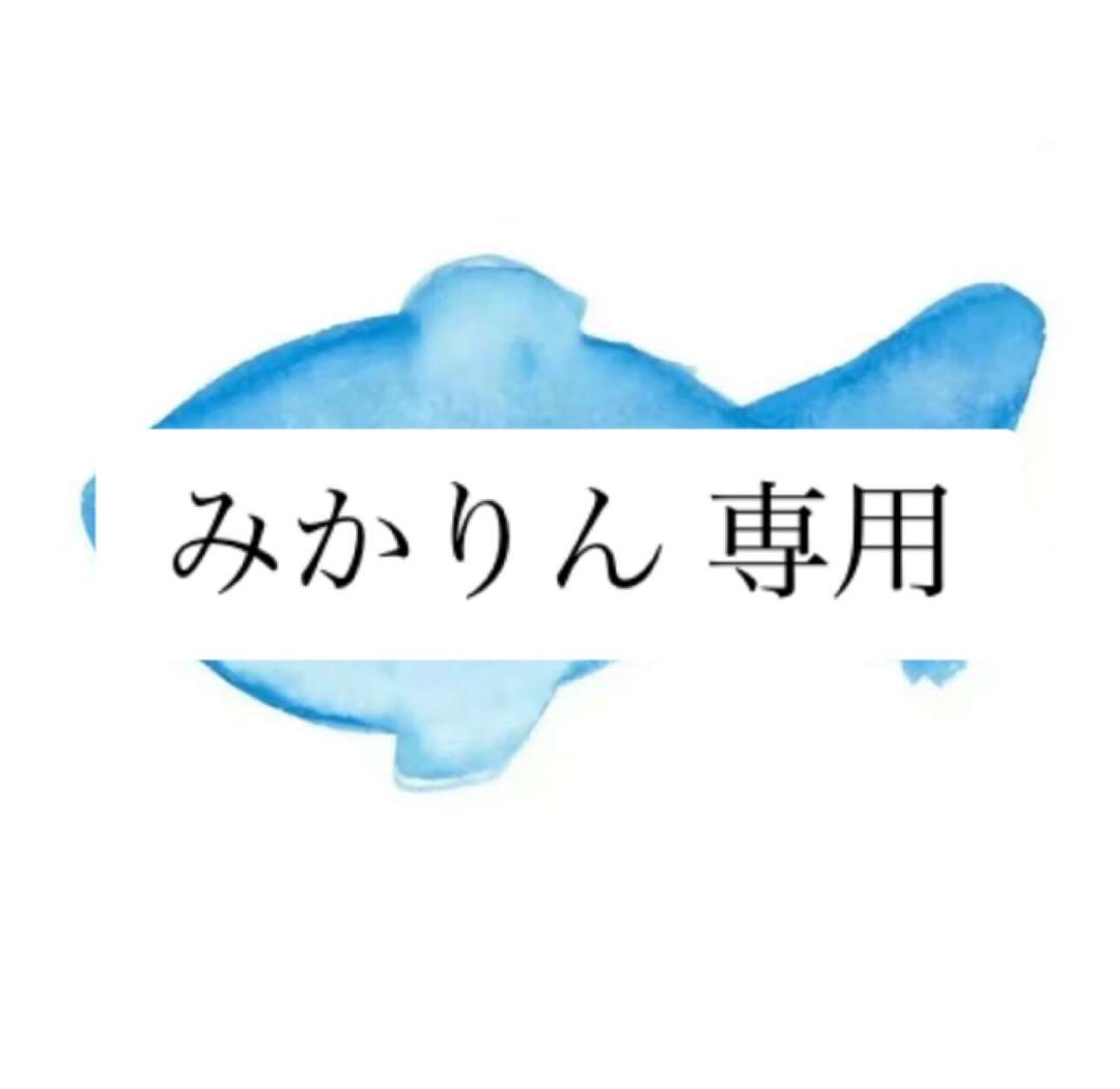みかりん 専用