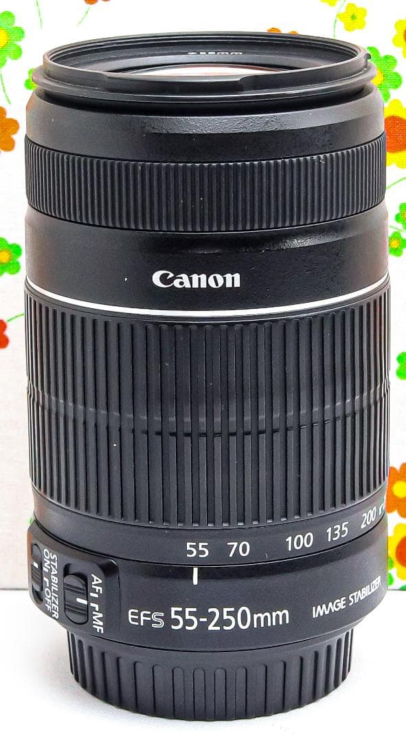 美品 Canon EF-S 55-250mm IS Ⅱ☆手振れ補正付☆望遠レンズ