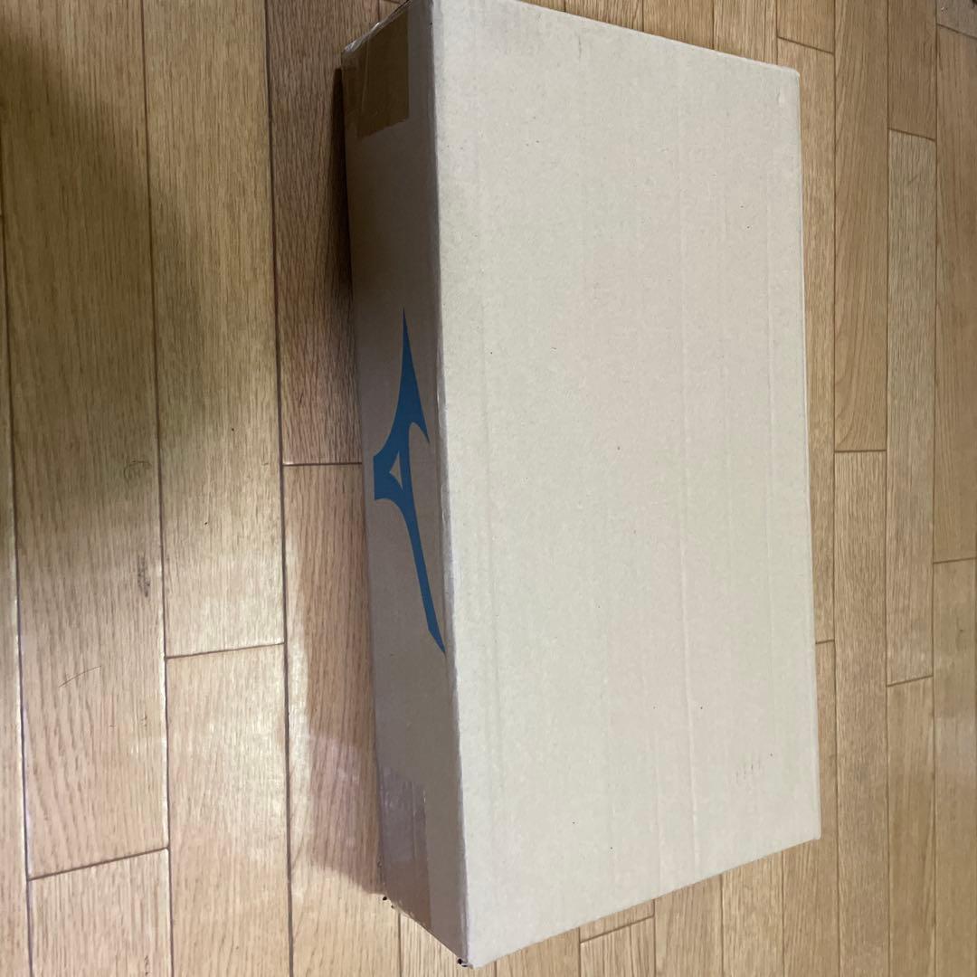 ミズノ　バッティングティー