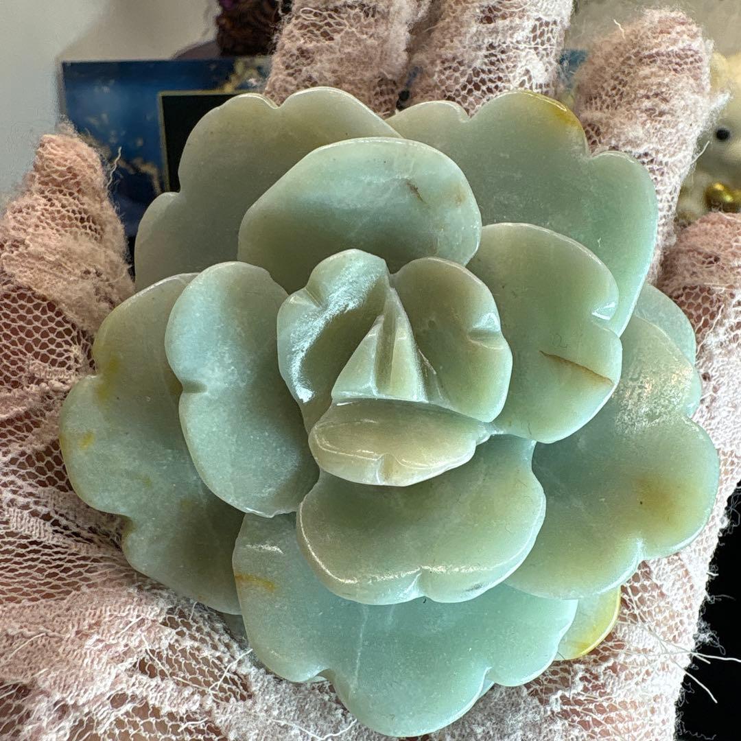 カリビアンカルサイト薔薇♡No.2108